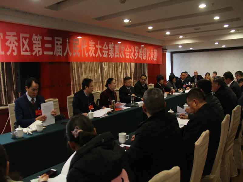宜秀區(qū)人大代表康明納龍其成董事長熱議政府工作報(bào)告